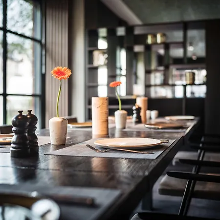 法兰克福萨克斯城市设计酒店